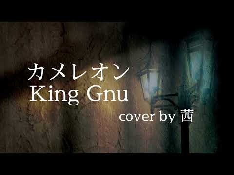 カメレオン　King Gnu cover by 茜