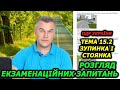 Тема 15. Зупинка і стоянка. Правила дорожнього руху України.  Автошкола. Світлофор. ГСЦ