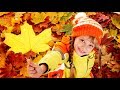ОСЕНЬ В ЛЕСУ Детская песня и мультик для самых маленьких