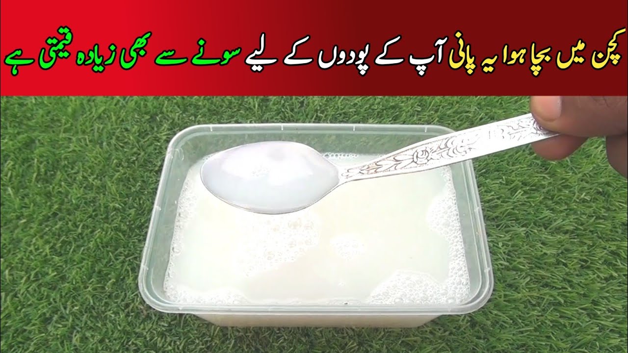 How to make Organic liquid fertilizer|homemade fertilizer 