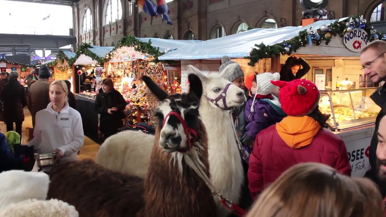 Switzerland Travel Vlog  Christmas Celebration in Zurich | European Christmas Market