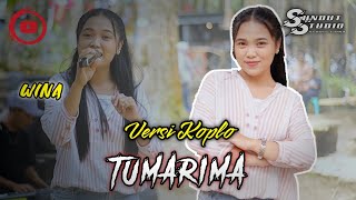 Tumarima // Wina // (cover koplo) // SUNDUT studio