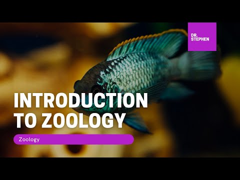 Zoology 🦚 I