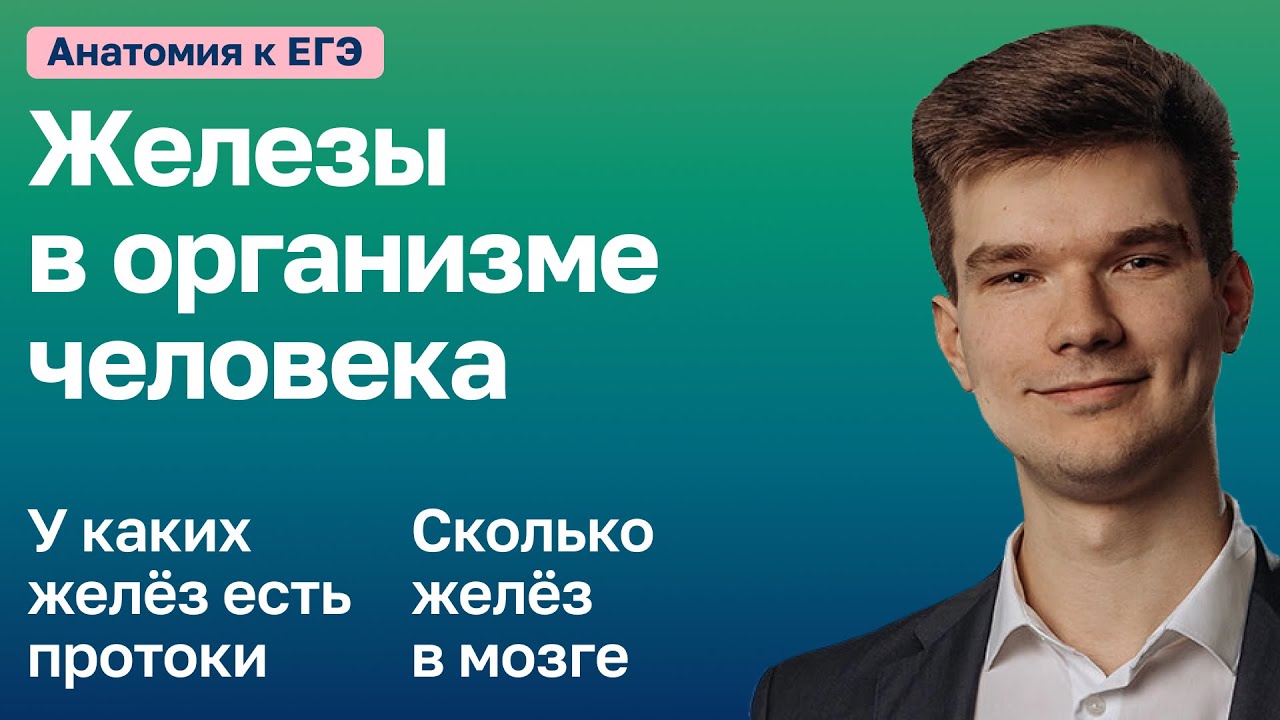 6.79. Типы желёз в организме | Анатомия к ЕГЭ | Георгий Мишуровский ...
