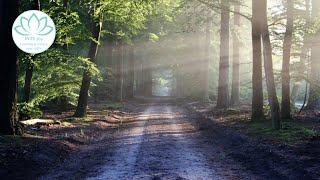 Helende HSPmeditatie: je mag er helemaal zijn zoals je bent