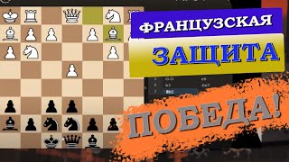 Французская защита интересный вариант | Играем на Lichess | Шахматы | Черный король