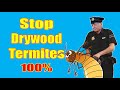 How to Prevent Drywood Termites 100% Guaranteed. If you live in the south, you MUST see this.