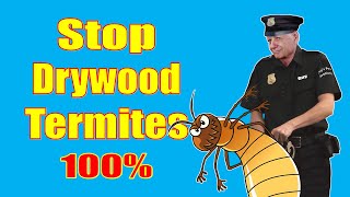 How to Prevent Drywood Termites 100% Guaranteed.