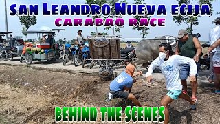 Ep. 44, BUHAY BUKID San Leandro carabao race behind the scenes.