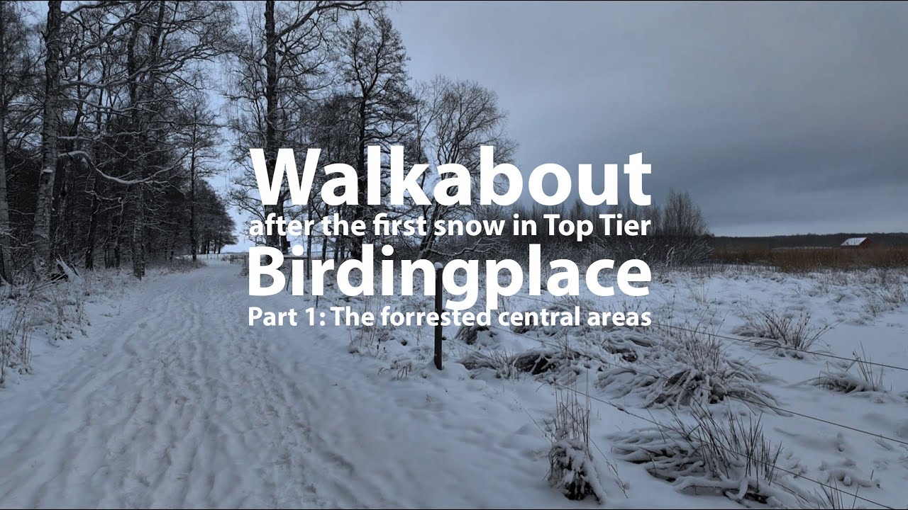 Walkabout in top-tier birdingplace. Part 1: The forrested central areas.