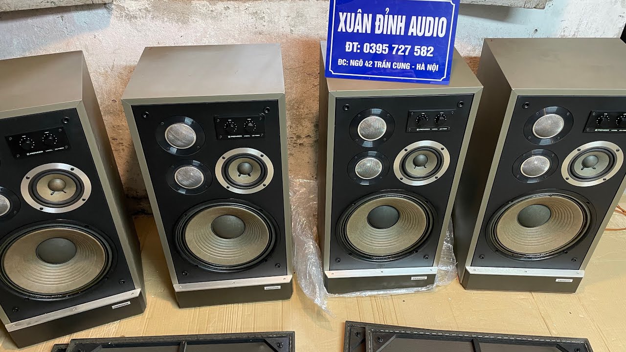 Pioneer Speakers Are Beautiful But So Cheap, Pioneer Cs-F900 30cm