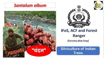 Chandan | Silviculture of Indian Trees for UPSC IFoS, JPSC- ACF and Forest Ranger