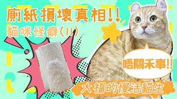 橘猫魔法少女的撩妹日常抱歉当魔法少女就是可以为所欲为的mp3