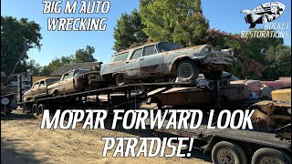 Biggest Collection Of Forward Look Mopars ANYWHERE Junkyard Crawl Of Big M Auto Wrecking