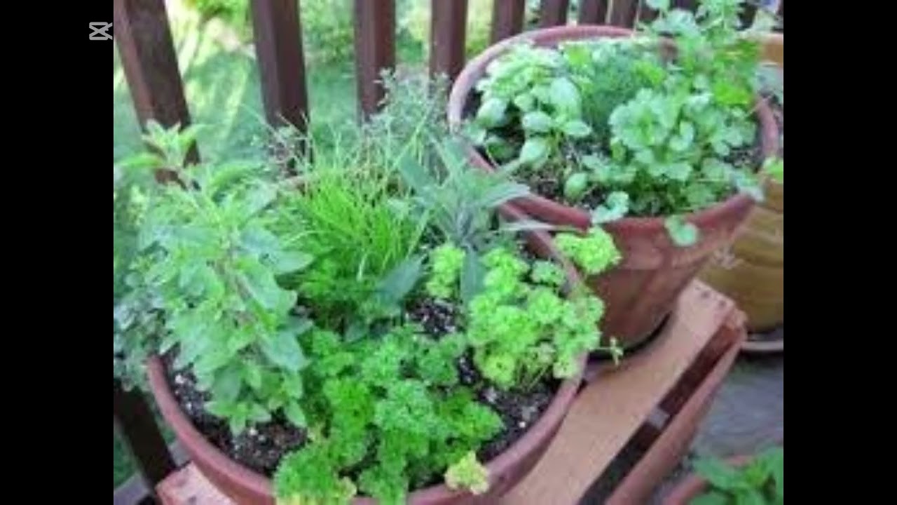 Diálogo de saberes y gestión de recursos naturales en la vereda Tres Esquinas, Gigante -Huila