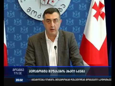 \"ნაცმოძრაობა\" მასწავლებელთა პროფესიული განვითარებისა და კარიერული წინსვლის სქემას აკრიტიკებს