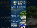 Agora com condições especiais para vendas em atacado e parcerias comerciais.