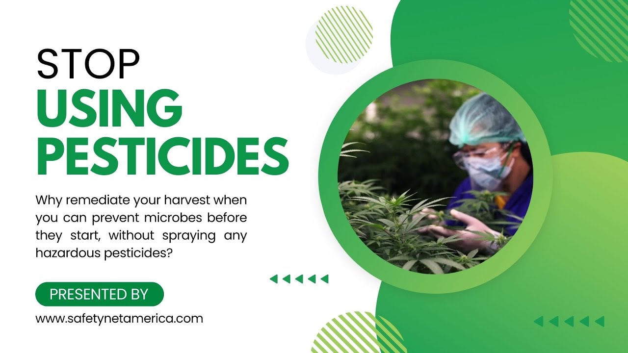 Prevention: A Smarter Approach to Cannabis Remediation