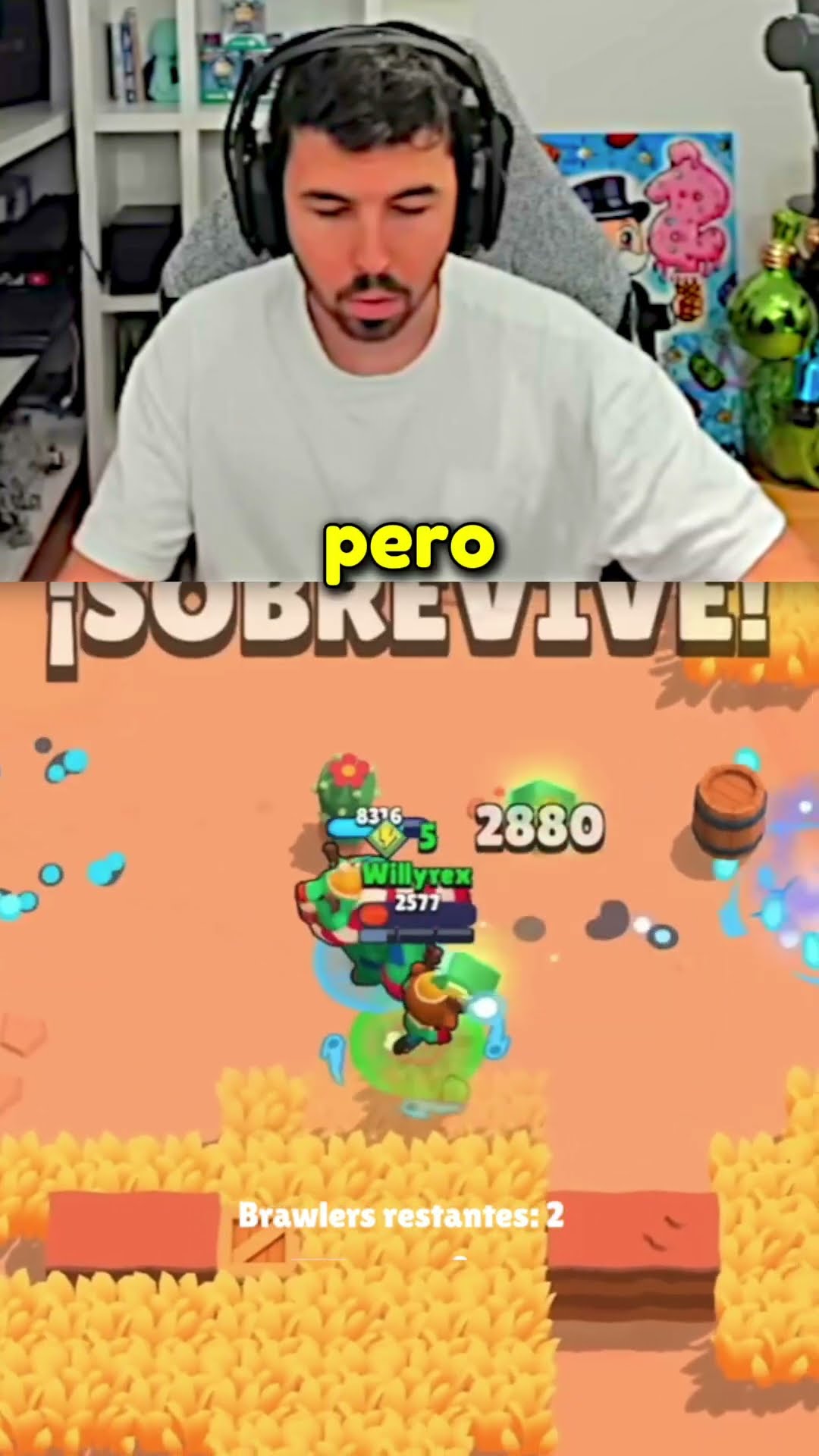 Maxeo a NITA ?