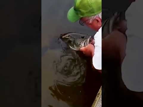 I don’t need no stinkin fishing pole #fishingtips #bassfishing #fishing