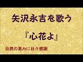 『心花(ときめき)よ』/矢沢永吉を歌う_644 by 自然の恵みに日々感謝