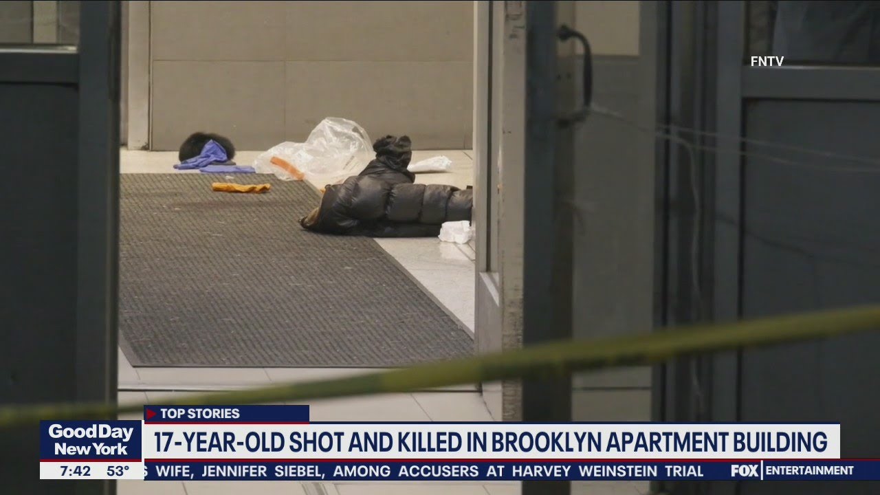 Girl killed in Brooklyn apartment building