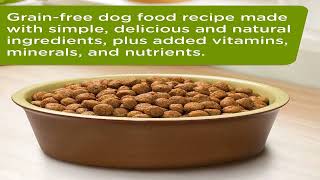 TOP 4 Best Dog Foods 2023
