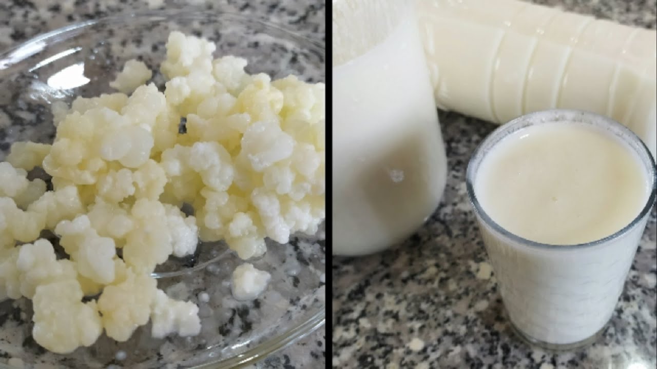 PÜF NOKTALARI İLE KEFİR YAPIMI, KEFİR NASIL MAYALANIR, KEFİR MAYASI NASILDIR