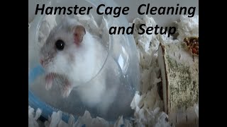 Hamster cage clean and setup!