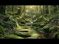 Quiet Night River Sounds for Meditation and Relaxing Sleep Atmosphere