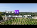 ВЕСЫ. Расклад ТАРО на 4-10 ИЮЛЯ 2022