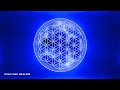 417hz  852hz fleur de vie flamme bleue  liminez les penses ngatives et lnergie ngative reiki