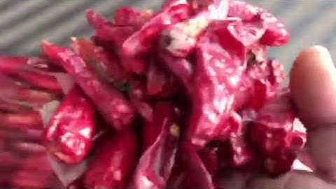 Best chili sorting machine, Growking chili color sorter