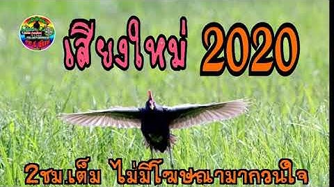 เสียงนกอีลุ้มใหม่ 2020 ค่าย ส.สุรินทร์#0990610057