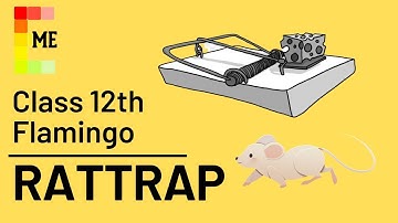 The Rattrap Class 12 | Term 2 | Animated Video | Brief Summary | Questions & Answers