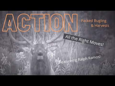 Elk Hunting 4, All the Right Moves, Ralph Ramos