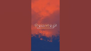 #quran قرآن كريم راحه نفسيه #اكسبلور #لايك #الرحمن #راحة_نفسية #المصحف #duet