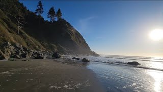 Banana Slug Trail to Beach Sunset! Relaxing Waves for Sleep, Study, Calming White Noise Insomnia by Hillbilly Gym 49 views 1 year ago 19 minutes