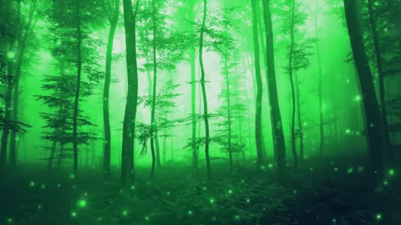 3 Hours Miracle HEALING SLEEP Music, Stress Relief, INSTANT CALM | Effective Insomnia Relief ★ 70 3 Hours Miracle HEALING SLEEP Music, Stress Relief, INSTANT CALM | Effective Insomnia Relief ★ 70