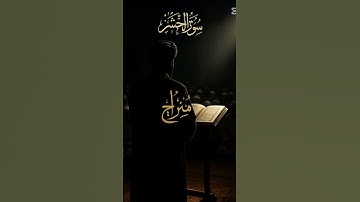 صوت هادئ طمأنينة 🪽🌻ايا من سورة الحشر