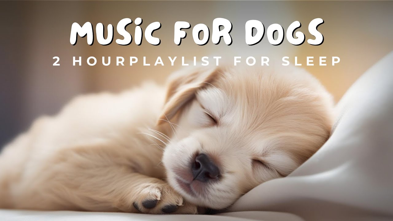 🎵 2 Hours of Deep Sleep Music for Dogs | 🐶 Calm Anxiety Relief & Relaxation Aid