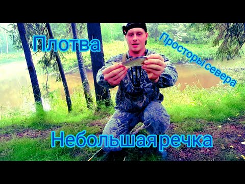 Прогулка по лесной речке. Первая осенняя рыба.