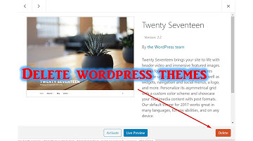 How to delete WordPress themes