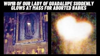 Womb of Our Lady of Guadalupe Suddenly Glows at Mass for Aborted Babies screenshot 2