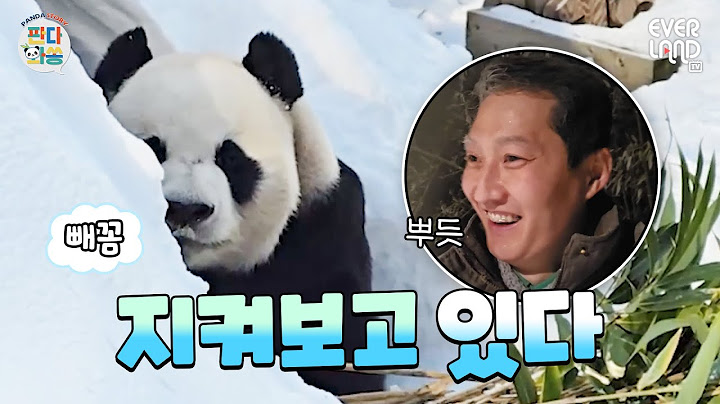 [ENG] The Winter Prince, Lovuji, and the 100KG Kids Are Having a Winter Kingdom｜#PandaAndSong