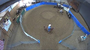 Big Sky Ranch Sorting Saddle Series #4 - #9 HC SORT - Round #2 - Ride #1