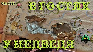 видео: В гостях у медведя (часть 1) картинка: В гостях у медведя (часть 1)