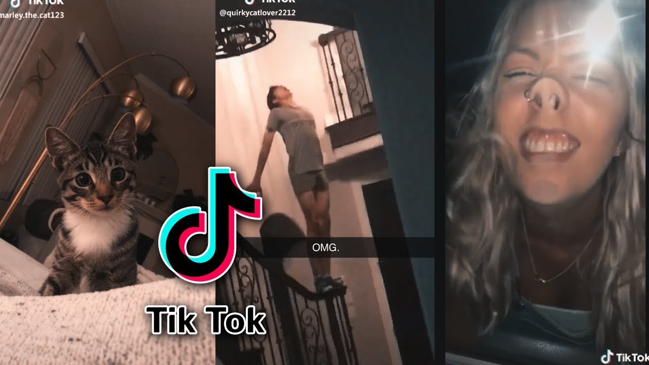 Do You Ever Look At Someone And Wonder What Is Going On Inside Their Head Tik Tok Compilation Youtube