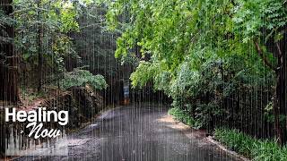 Comforting Rain Sounds for Stress Relief & Anxiety Relief, White Noise for Deep Sleep ASMR screenshot 4