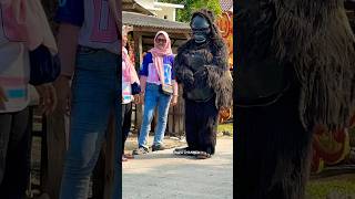 Download Lagu KINGKONG SINGADANGDUT PUTRA PAI MUDA MP3 Download Lagu KINGKONG SINGADANGDUT PUTRA PAI MUDA MP3